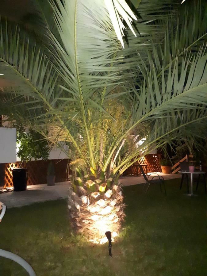 Studios Thea Fresh Rooms Thassos Екстериор снимка